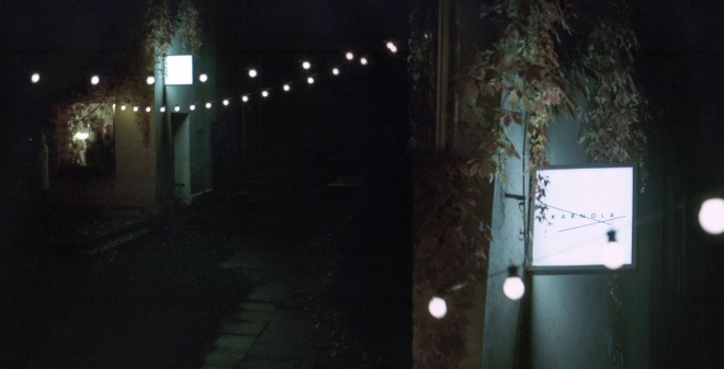 2 Border Collapse meets Shakhta, Karnola, Hranice kopie